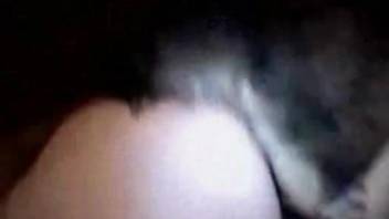 Hard dog cock for amateur woman with insane ass and pussy