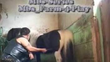 Fat ass woman endures harsh gagging when sucking a horse cock