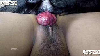 Trimmed pussy Latina screwed by her favorite pet