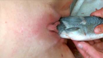 Hair free pussy getting fucked by a sexy fish