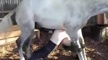 Horse ruins mature's pussy in scenes of amateur zoophilia