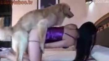 Mask-wearing slut gets gaped by a furry doggo