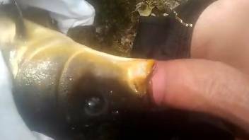 Dead fish worships this dude's dick and makes him cum