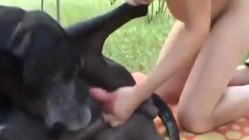 Skinny MILF riding a dog's cock while preggers
