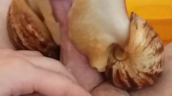 Man jerks off with snails crawling on his penis