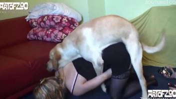 Sexy blonde in mask getting fucked by her mutt