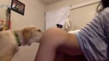 Perky booty babe getting licked thoroughly a dog