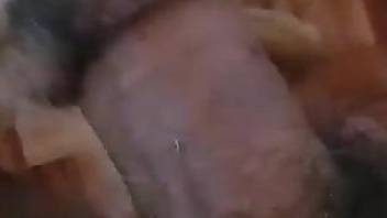 Guy's veiny cock punishing a beast's tight hole