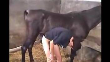 Shapely booty dude getting fucked in the ass by a horse