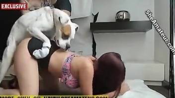 Porn superstar enjoying hardcore bestiality on cam