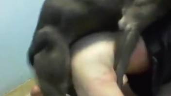 Horny man loves the feeling of dog dick in his ass