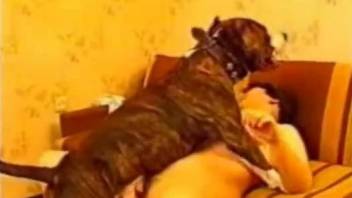 Short-haired bombshell enjoys raw sex with a MILF-loving dog