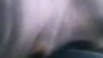 Dude decides to penetrate a beast pussy in POV