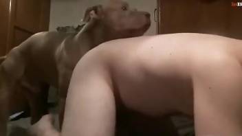Thick zoophile bottoming for a big-dicked brown mutt