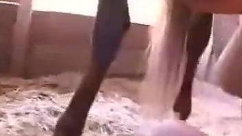 Lustful lady manages to fit a horse cock inside