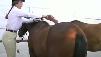 Ponytailed babe fucked by two ponies in one go