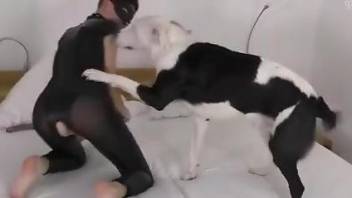 Sublime sub getting fucked by her master and his dog