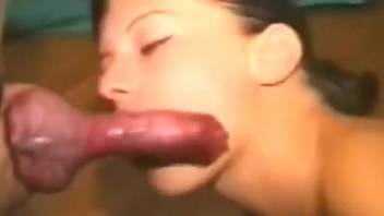 Hot broad sucks dick and gets laid in intense amateur sex tape