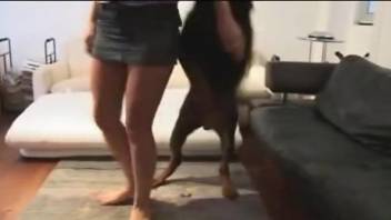 Brunette jacking off a dog into a tall glass