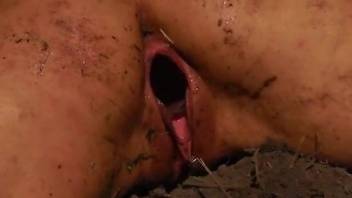 Lesbian slavegirl has to fuck insects in a strange way