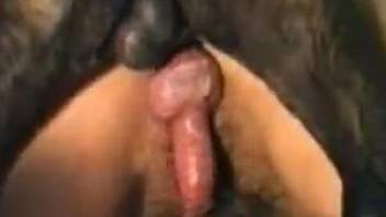 Blonde milf screams with a big dog cock in her vagina