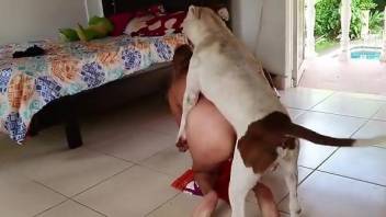Shiny booty babe worships dog cock orally at first