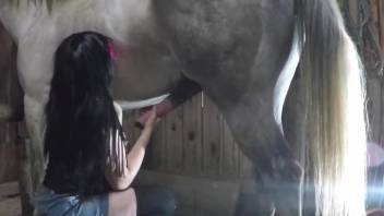 Huge horse cock ruins the tight hole of a sexy MILF