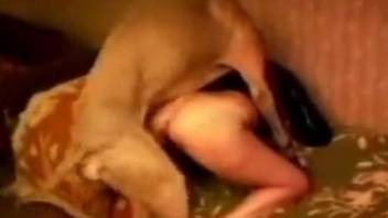 Dog humps woman and makes her cum like a slut