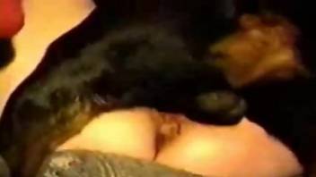 Late night sex experience with a dog for a curvy woman