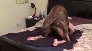 Doggy style romp with a zoophile that submits completely