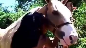 Outdoor horse porn grants woman extreme orgasms
