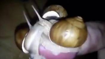 Nice porno movie featuring lots of fucking with snails