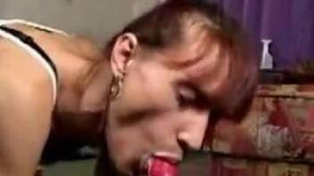 Gaunt hottie takes a dog's dick in her wet vagina