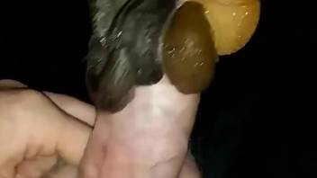 Sexy snails pleasure a guy's penis in a taboo movie