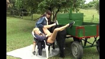 Two busty farm girls are getting drilled by black pony