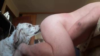 Fat guy wants to bottom for his curious mutt