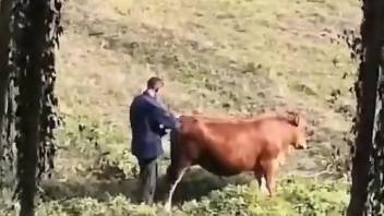 Guy with a perfect penis finds a brown cow to fuck