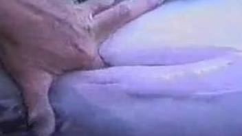 Dude fingering a dolphin's pussy in a hot zoo video