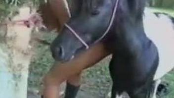 Tanned brunette getting fucked by a hung pony