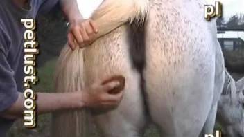 Beast lover fucking a mare's hot pussy from behind
