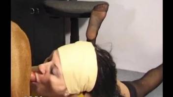 Stockings-wearing brunette licked by a dog at work