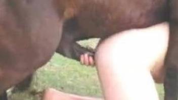 Slutty zoophile getting ass-fucked by a stallion